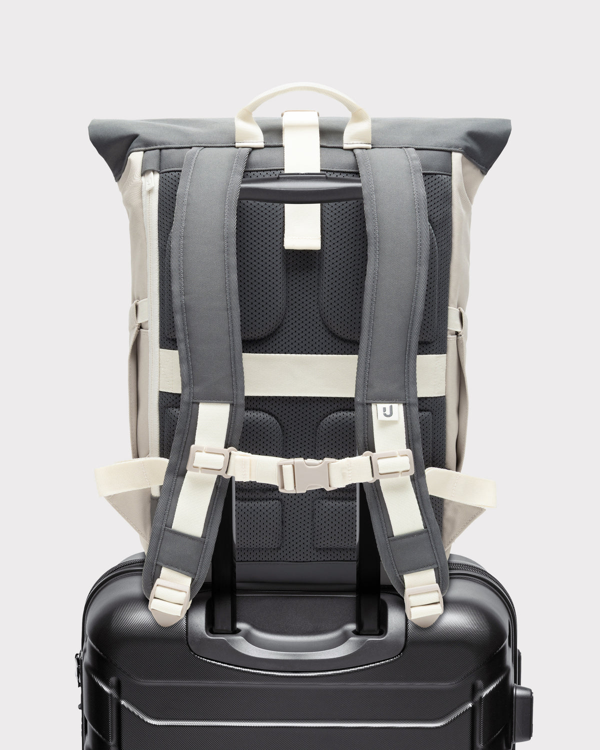Rolltop Rucksack "Allen Medium 2.0"