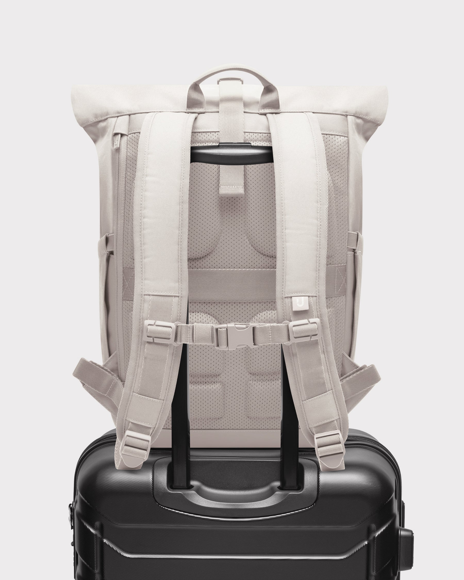 Rolltop Rucksack "Allen Medium 2.0"