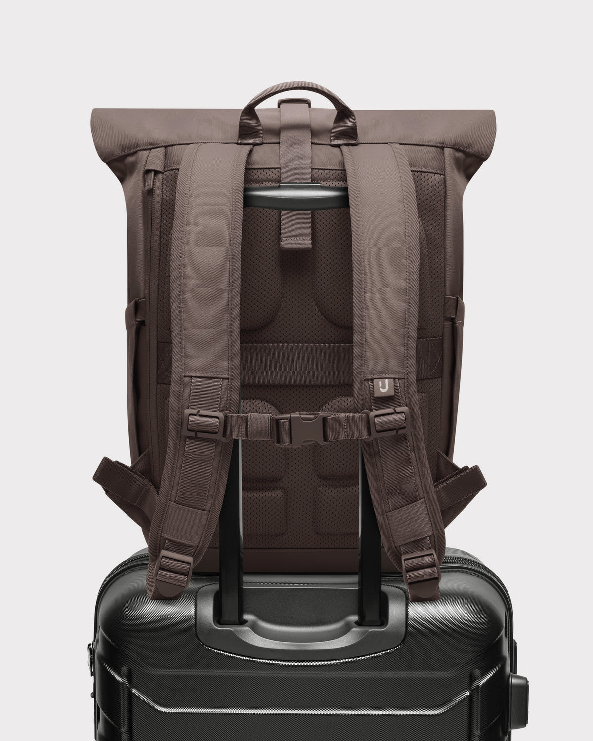 Rolltop Rucksack "Allen Medium 2.0"