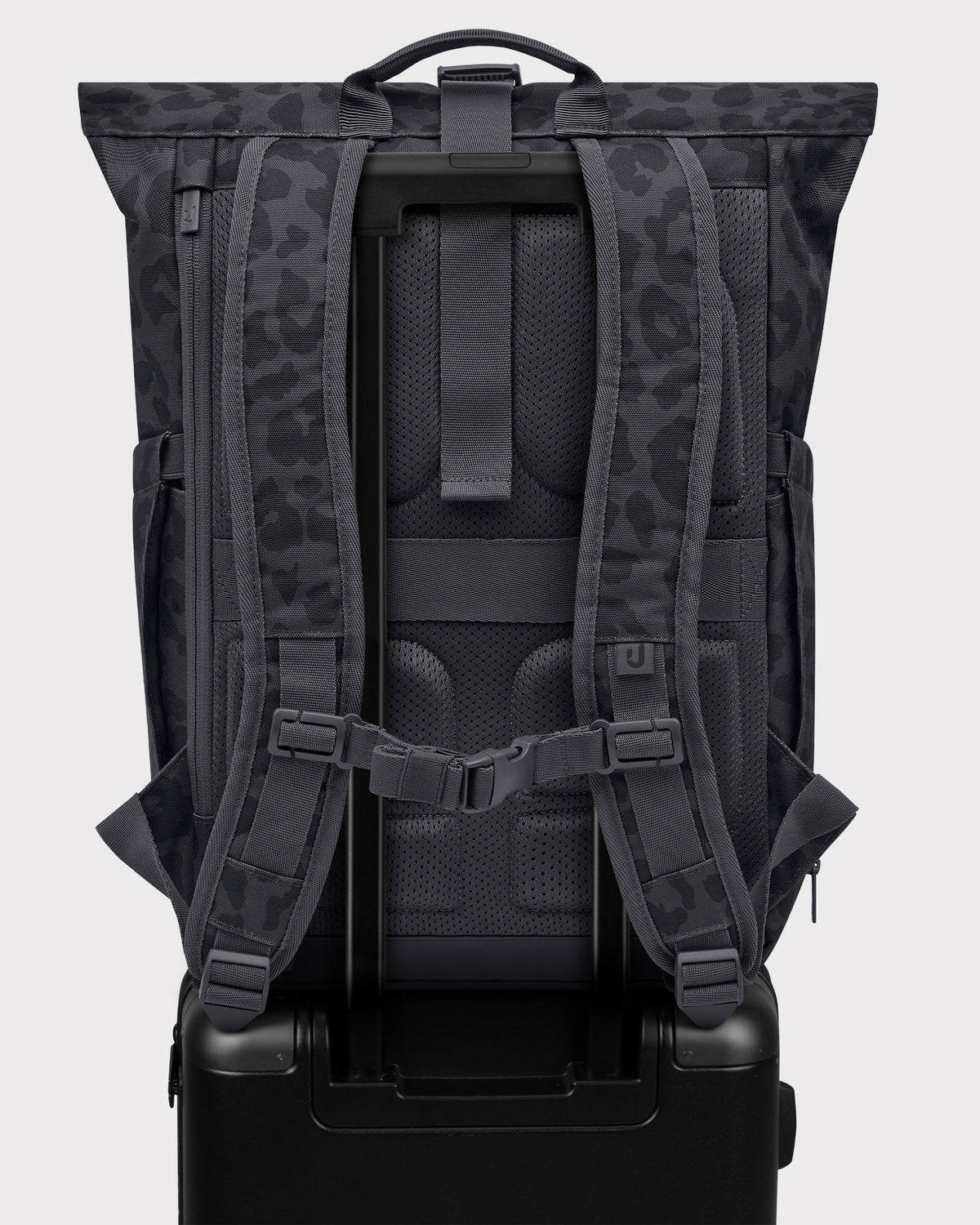 Rolltop Rucksack "Allen Medium 2.0"