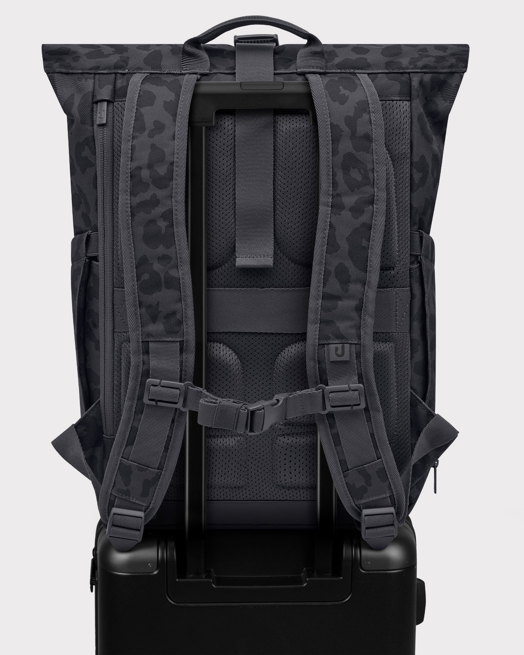 Rolltop Rucksack "Allen Medium 2.0"