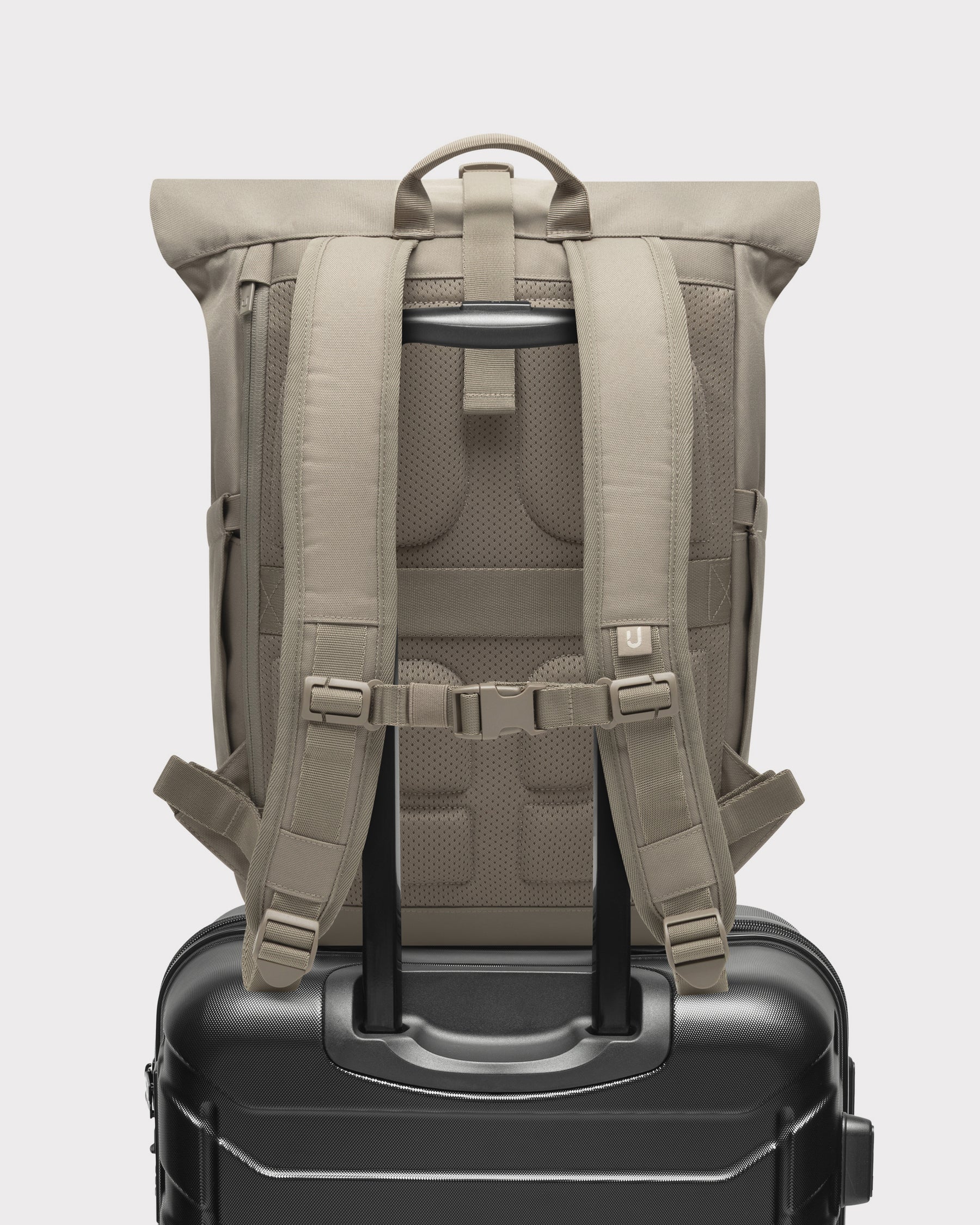 Rolltop Rucksack "Allen Medium 2.0"